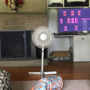 Meet your Posher, Pamela